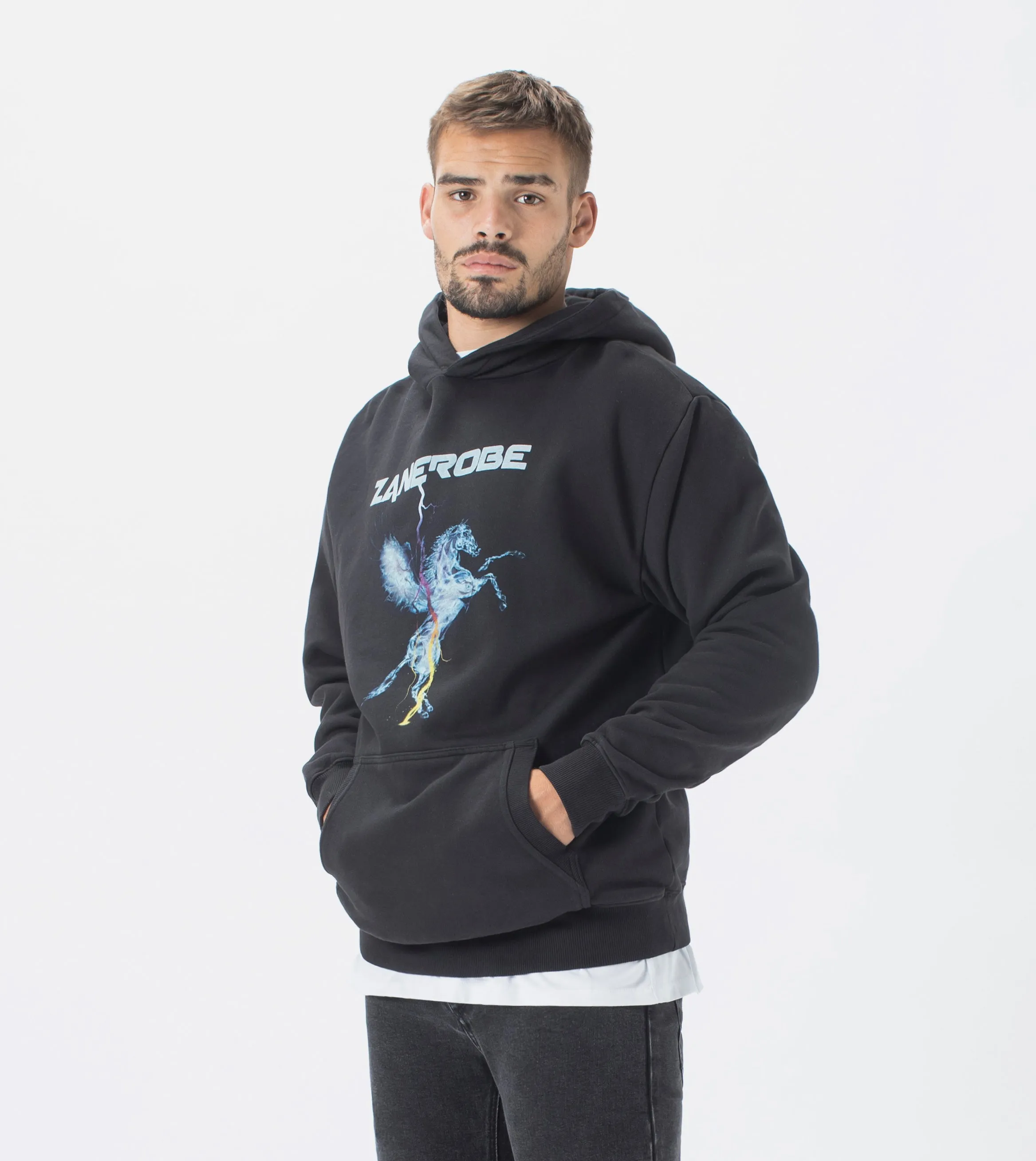 Pegasus Lowgo Hood Sweat GD Black