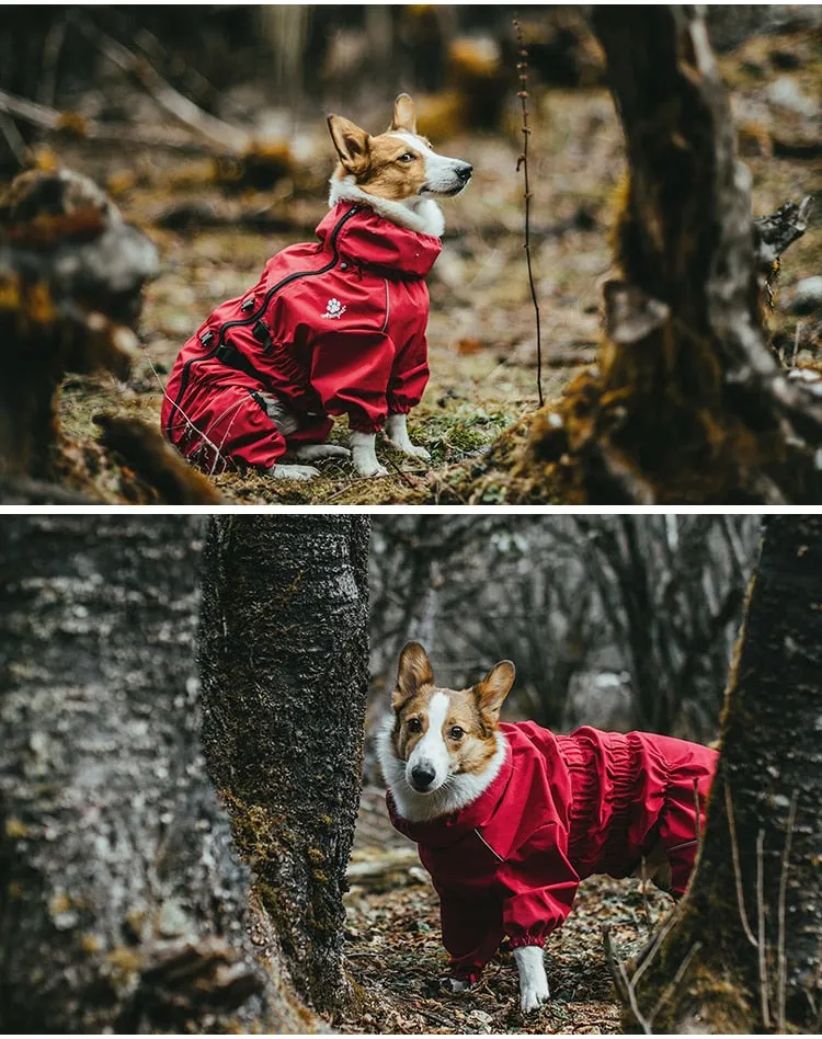 Stay Dry and Stylish: Waterproof Pet Dog Outdoor Jacket for Winter Adventures! Red / Black Raincoat