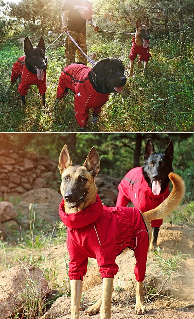 Stay Dry and Stylish: Waterproof Pet Dog Outdoor Jacket for Winter Adventures! Red / Black Raincoat